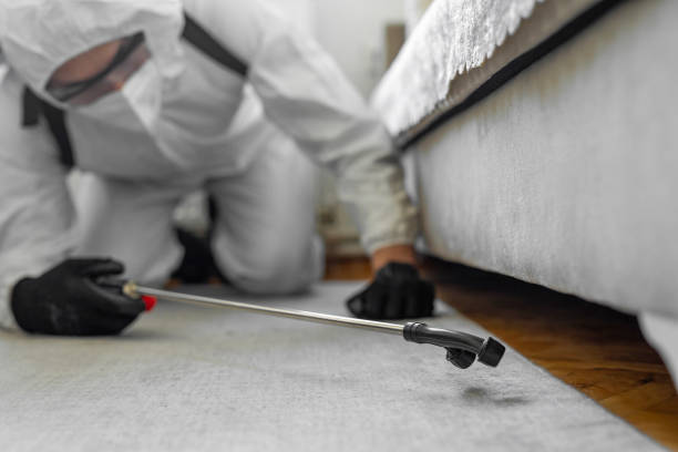 Professional Bed Bug Control technician working in Mustang, OK