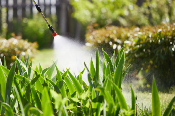 24/7 Emergency Bed Bug Control experts in Mustang, OK