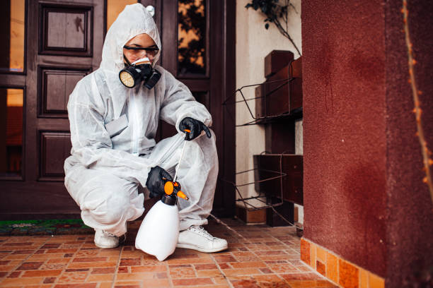 Reliable Bed Bug Control contractor in Mustang, OK by Nex Pest Control
