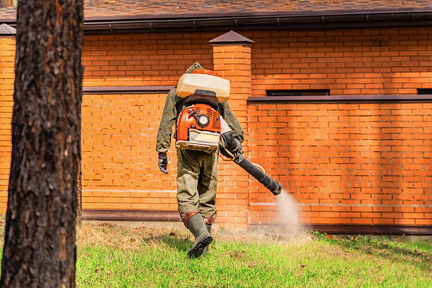 Trusted Ant Control service in Mustang, OK - Nex Pest Control